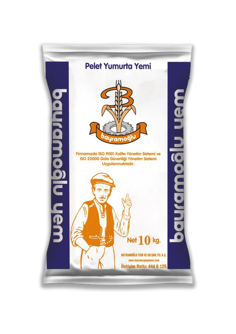 Yumurta Yemleri
